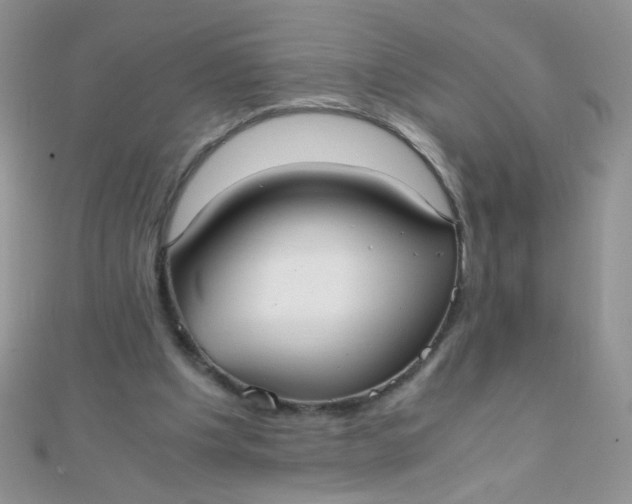 X0000110320201200906042050