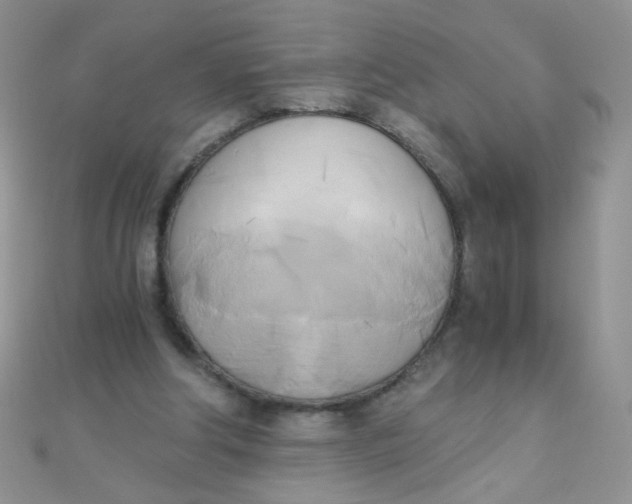 X0000110320202200906042050