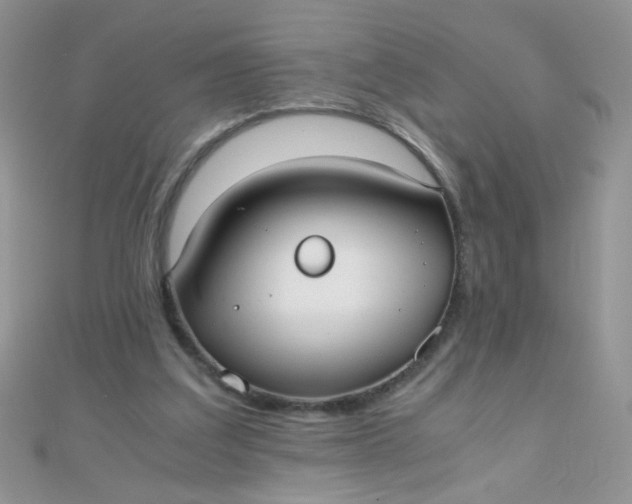 X0000110320203200906042050