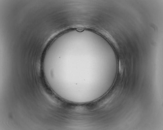 X0000110320204200906042050