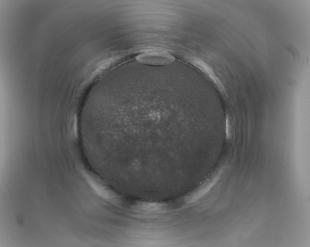 X0000110320205200906042050