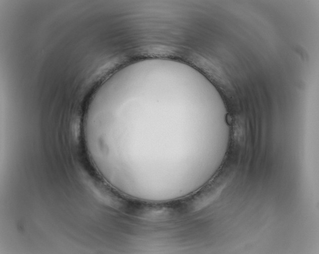 X0000110320206200906042050