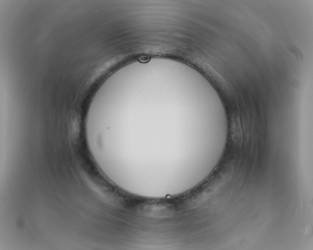 X0000110320208200906042050