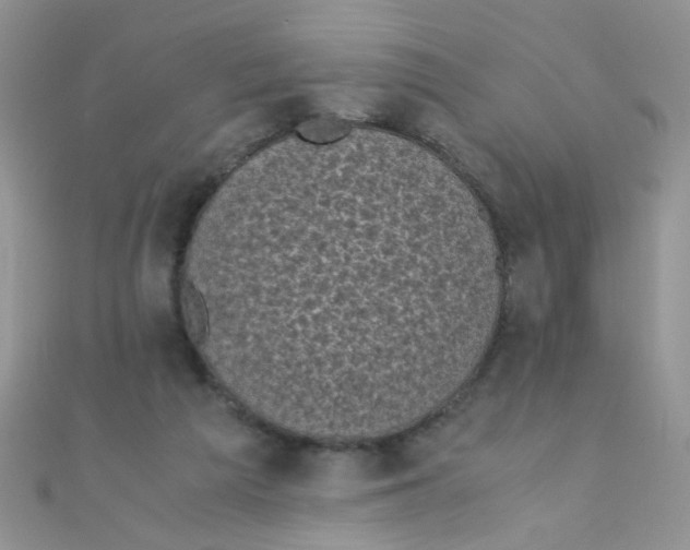 X0000110320209200906042050