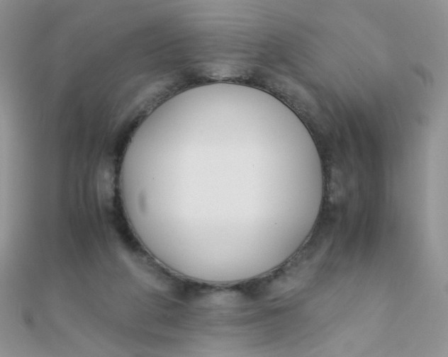 X0000110320210200906042050