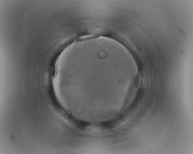 X0000110320211200906042050