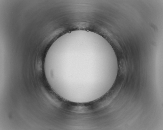 X0000110320212200906042050