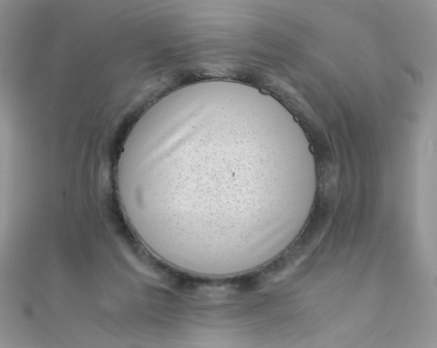 X0000110320213200906042050