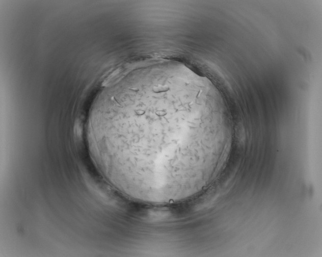 X0000110320214200906042050