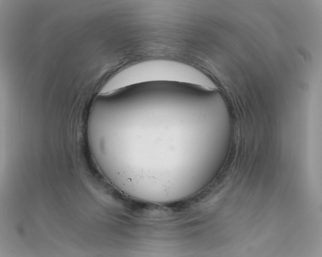 X0000110320215200906042050