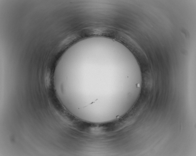 X0000110320216200906042050