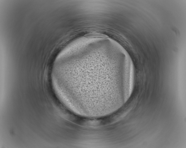 X0000110320217200906042050