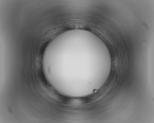 X0000110320218200906042050