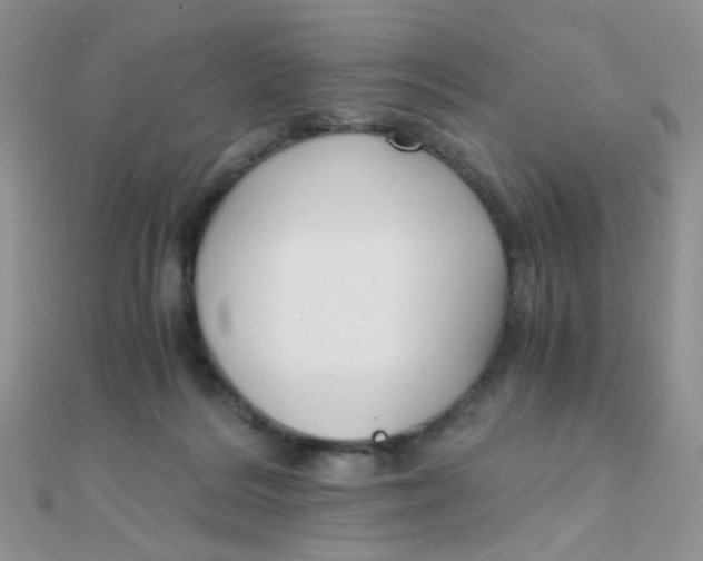 X0000110320220200906042050