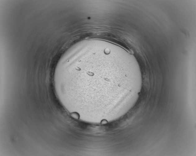 X0000110320221200906042050