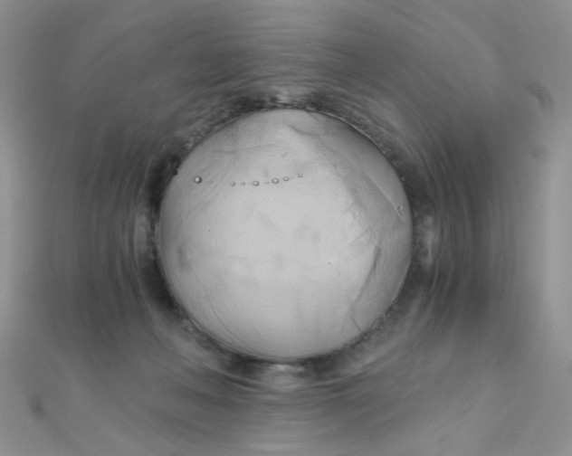 X0000110320222200906042050