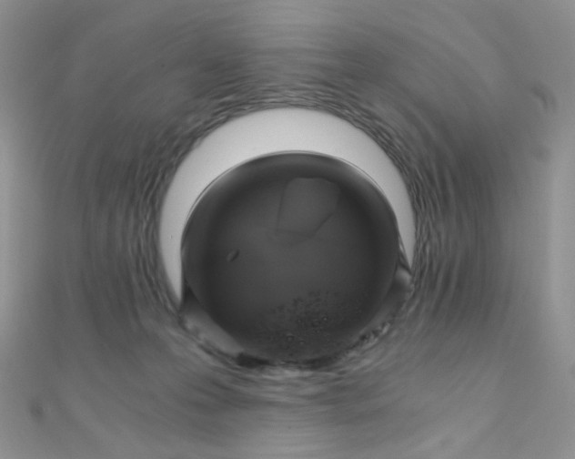 X0000110320223200906042050