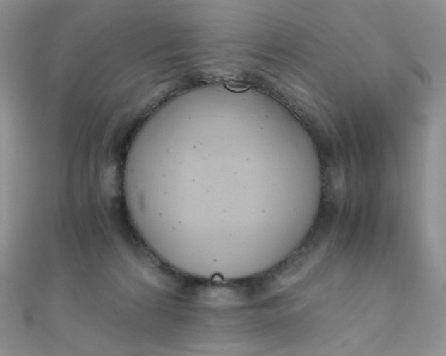 X0000110320224200906042050