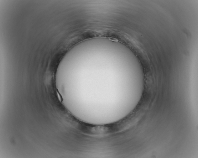 X0000110320225200906042050