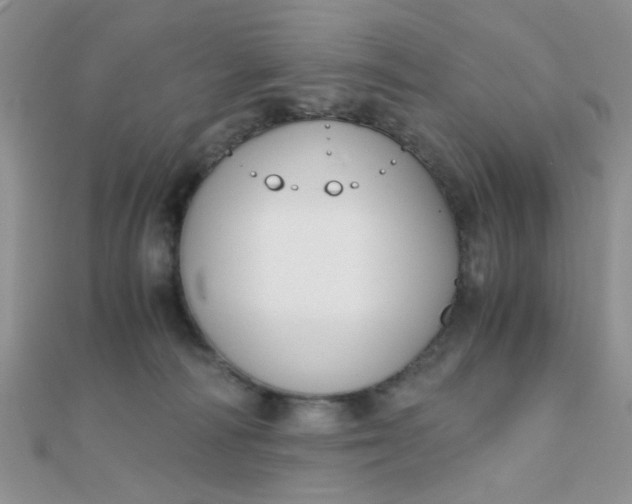 X0000110320226200906042050