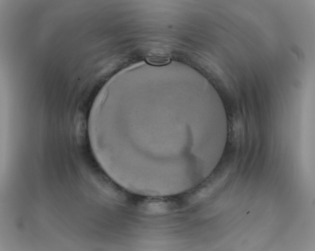 X0000110320228200906042050