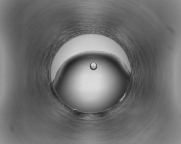 X0000110320229200906042050