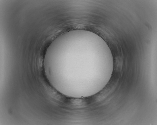 X0000110320230200906042050