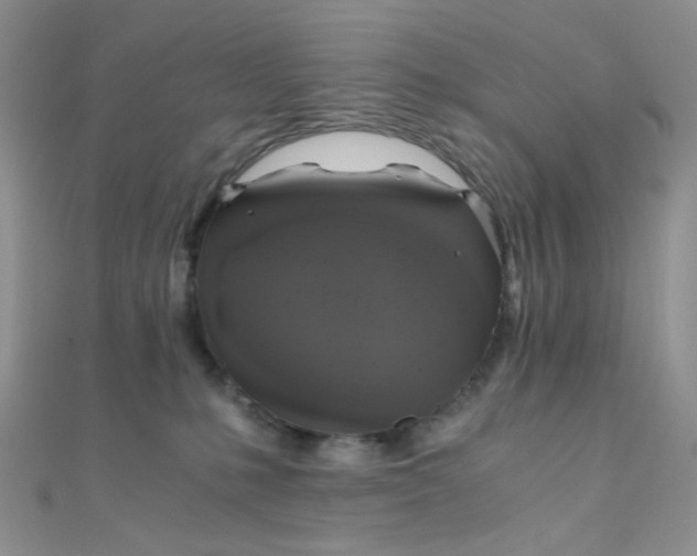 X0000110320231200906042050