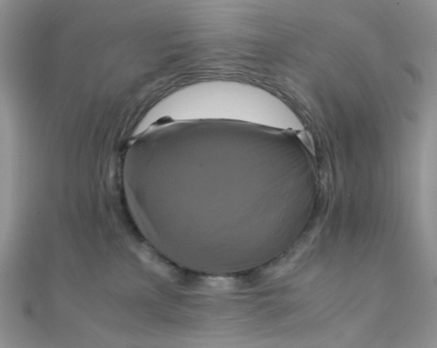 X0000110320233200906042050