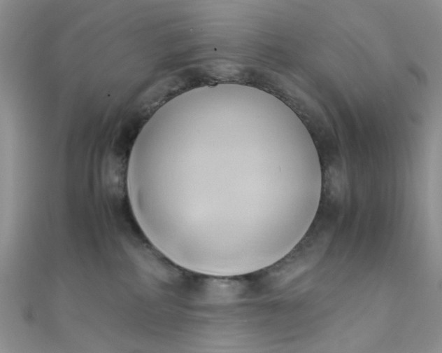 X0000110320234200906042050