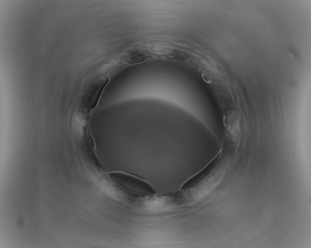 X0000110320235200906042050