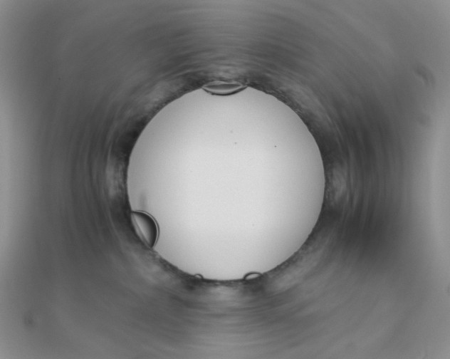 X0000110320236200906042050