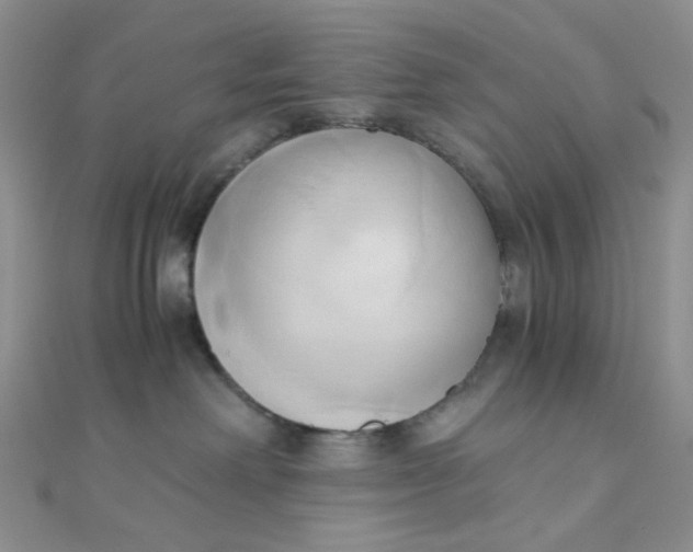 X0000110320238200906042050