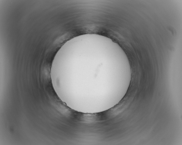 X0000110320240200906042050