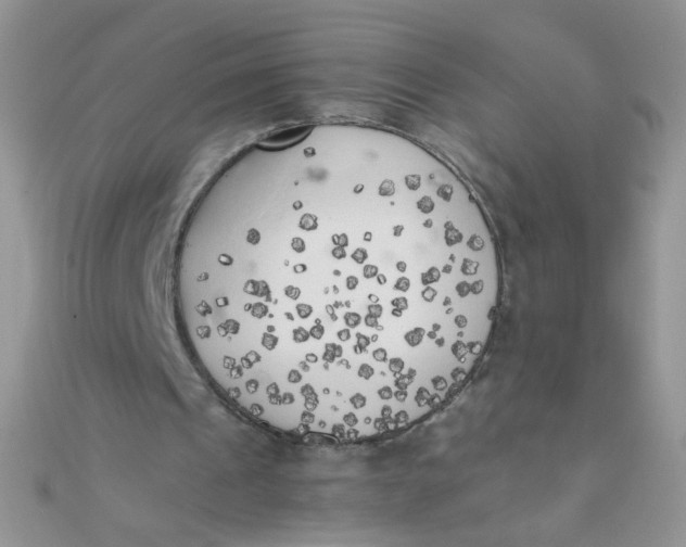 X0000110320241200906042049