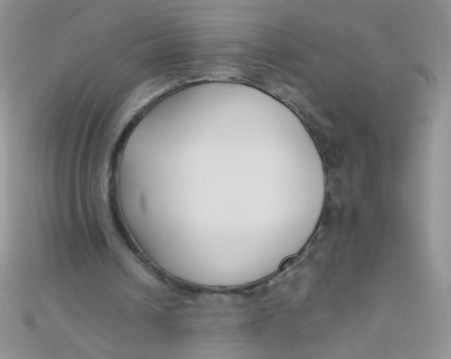 X0000110320242200906042049