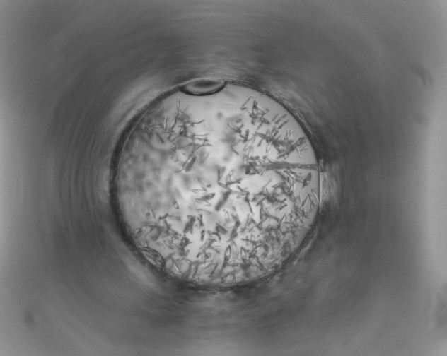 X0000110320243200906042049