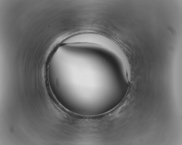 X0000110320244200906042049