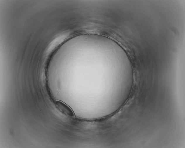 X0000110320245200906042049