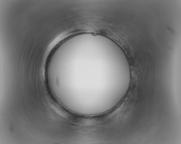 X0000110320246200906042049