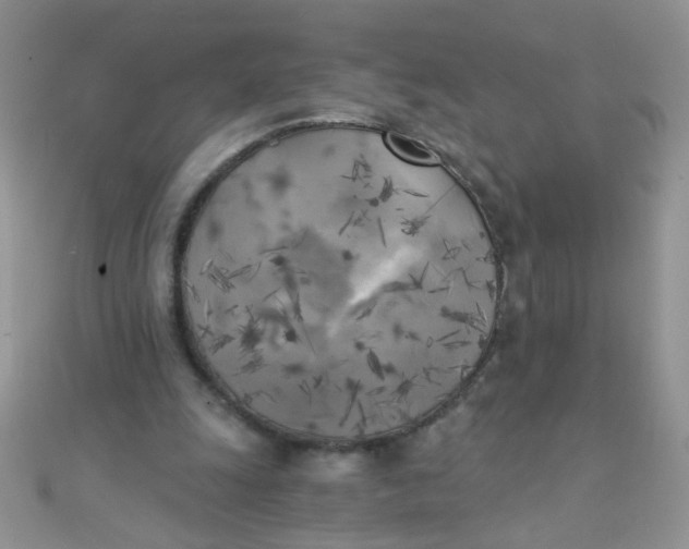 X0000110320247200906042049