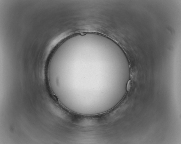 X0000110320248200906042049