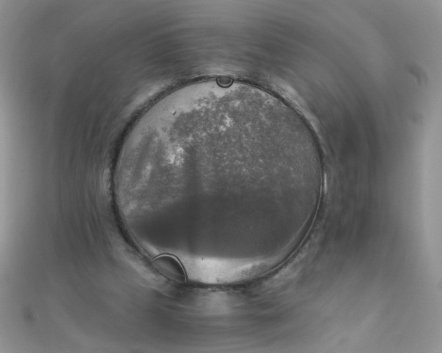 X0000110320249200906042049