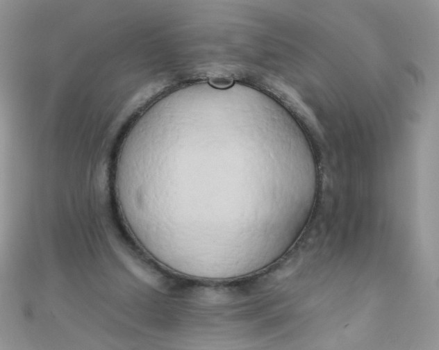 X0000110320250200906042049