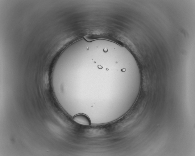 X0000110320251200906042049