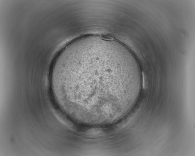 X0000110320252200906042049