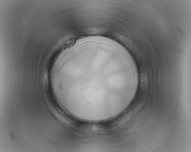 X0000110320254200906042049