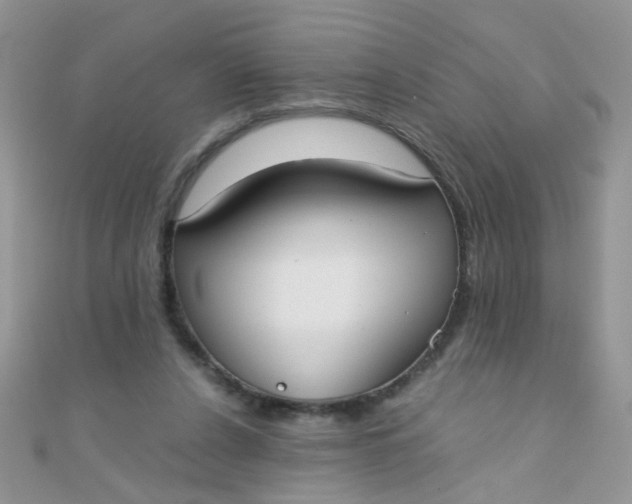 X0000110320256200906042049