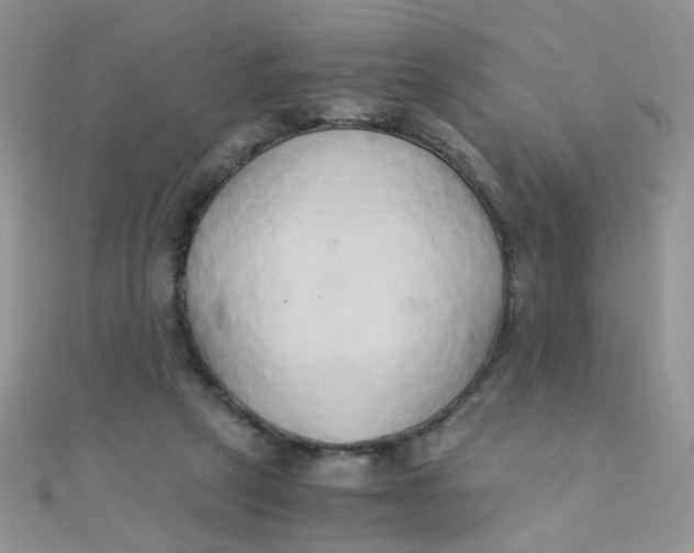 X0000110320257200906042049