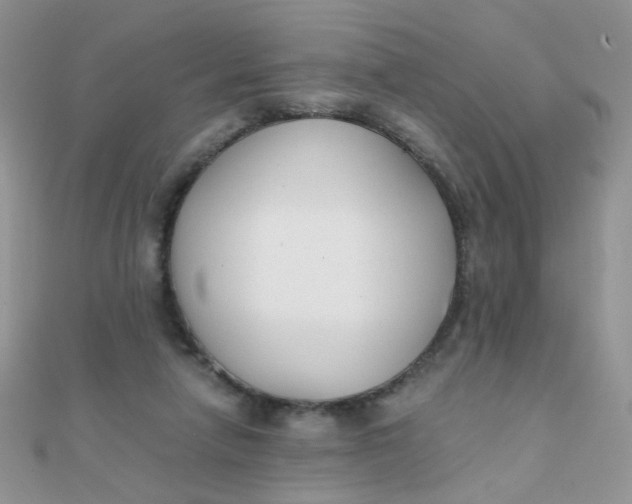 X0000110320258200906042049